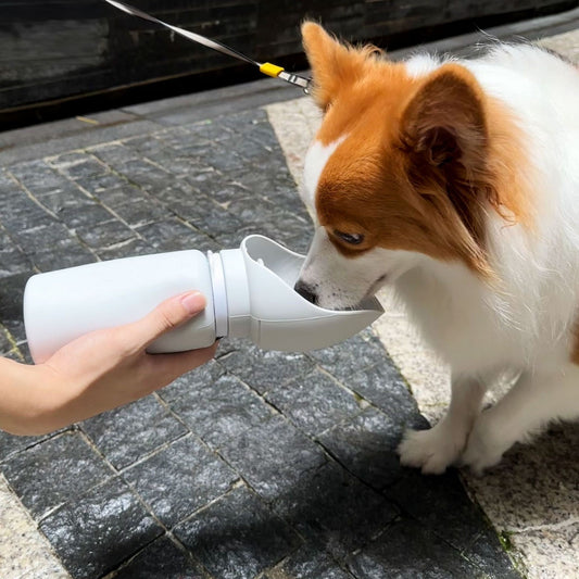 Aqusten Foldable Dog Water Bottle Silicone Travel Cup 550ml